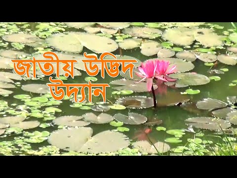 জাতীয় উদ্ভিদ উদ্যান