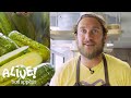 Brad Makes Crunchy Half Sour Pickles It S Alive Bon Appétit
