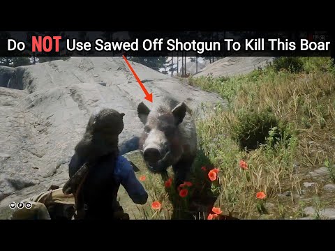 Do NOT Equip A Sawed Off Shotgun During This Encounter Or Else This Will Happen - RDR2