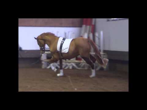 Don Barolo v. Don Frederic