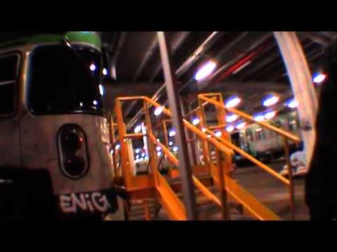 Official Vandal   One love