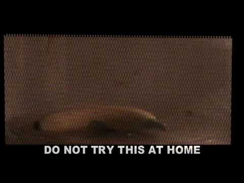 Microwave This: Banana