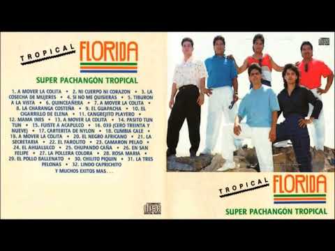 🌴 MÚSICA CUMBIAS VIEJITAS TROPICALES PARA BAILAR ÉXITOS MIX🌴SUPER PACHANGON TROPICAL FLORIDA 2021