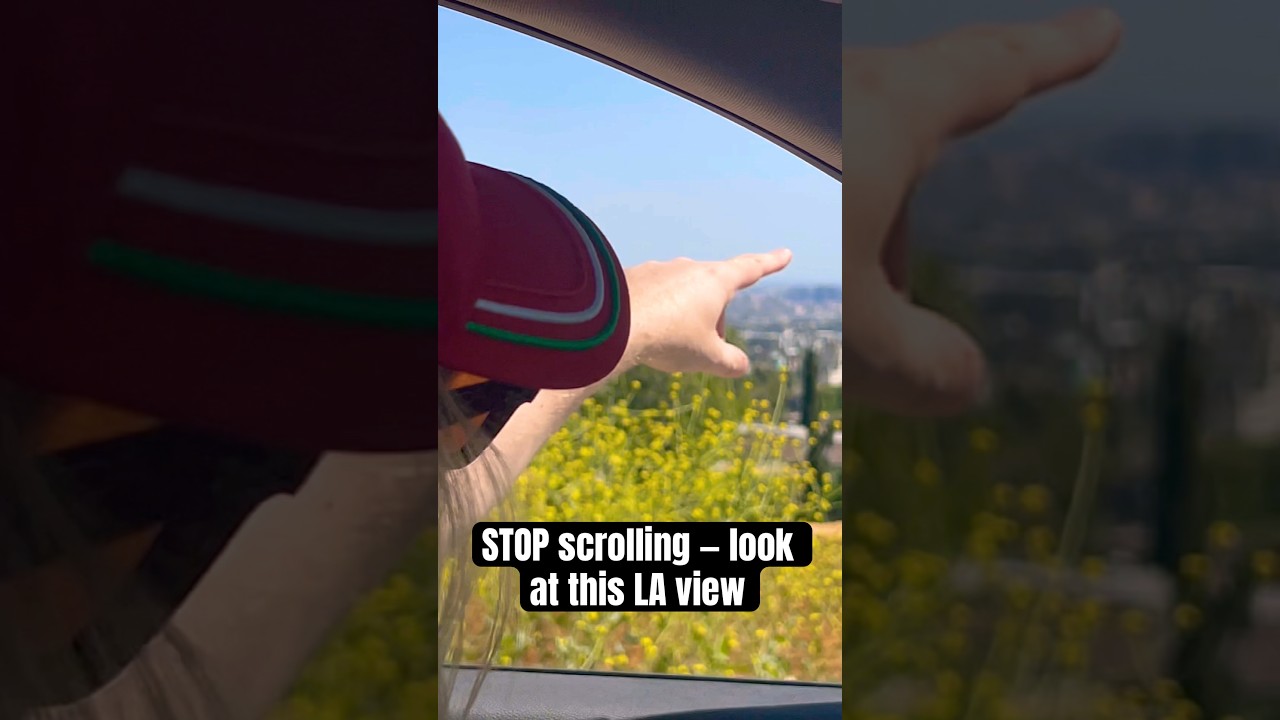 STOP scrolling — look at this LA view