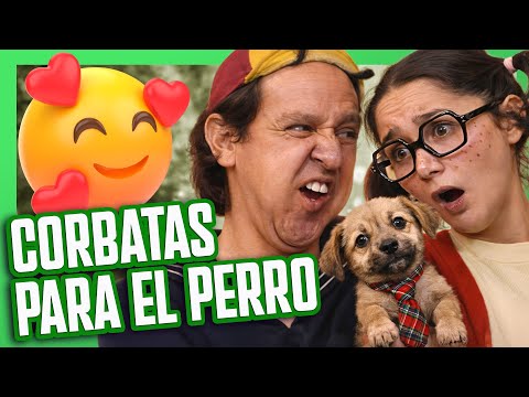 Quico recibe un perro de regalo