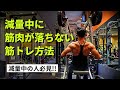 【背中トレ】減量中のトレーニング【筋トレ】