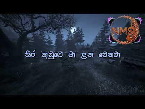 Hiru Paya Nagi Basa Yanawa (හිරු පායා නැගී බැස යනවා) Official Music Video 2025