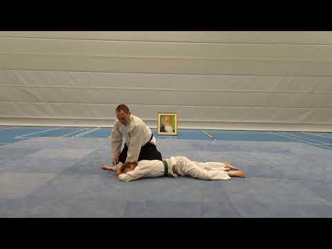 Aikido - Ikkyo (Ude-osae) gegen Shomen-uchi