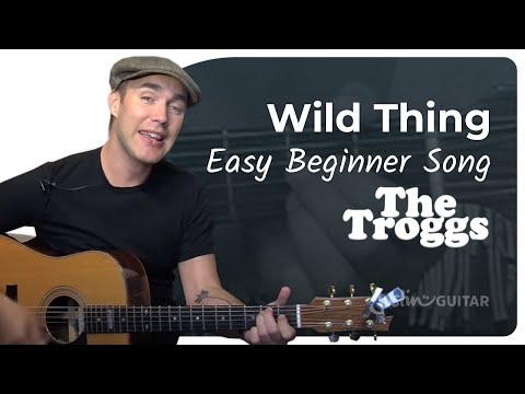 Wild Thing - The Troggs