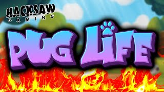 🐶Wild Lines🐶 | Pug Life Hacksaw Gaming Casino Big Win Freespins Bonus (ak) Video Video