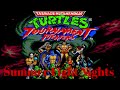 Summer Fight Nights Teenage Mutant Ninja Turtles Tournament Fighters SNES