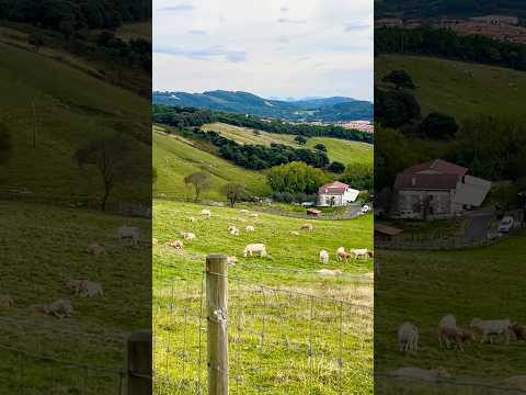 Gorliz Vizcaya Spain 🇪🇸 #farm #virtualtour #shortvideo #travel #adventure #shorts #fyp
