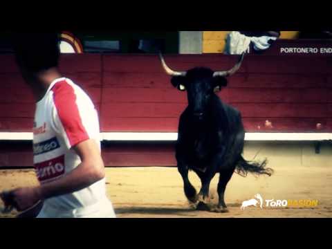 Toropasión - Concurso de recortadores con anillas Castellón 2013