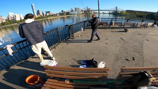 Porgy fishing NYC-L.I.C 10/04/2025