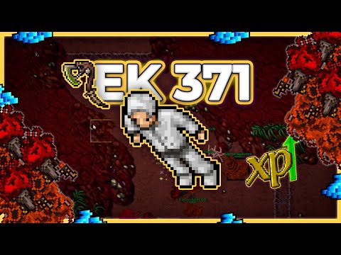 EK 371 Hunt Solo Haunted Nexus (Gazer Spectre) 2.4kk/h Raw + 300k Profit - Tibia Hunt [13.11] #tibia