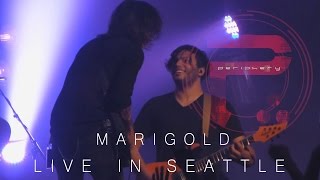 Periphery - Marigold - Live in Seattle