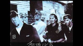 Metallica - Damage Case