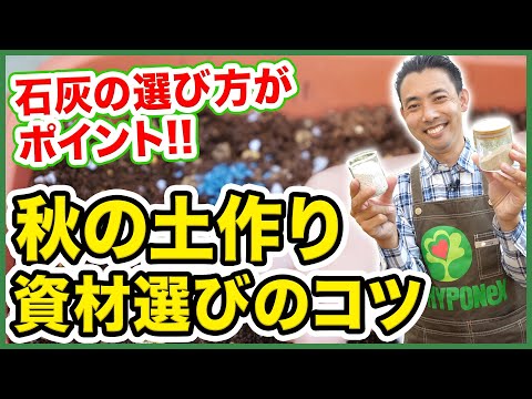 ライム果樹のミルクを使用