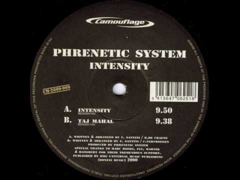 Phrenetic System - Intensity