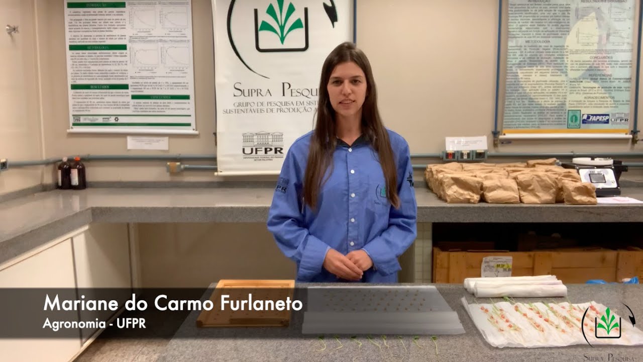 QUALIDADE DAS SEMENTES |  - Teste de Germinação - Ep. 3