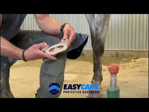 EasyShoe Race Application