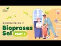 Mengenal Bioproses Sel: Transpor Membran, Osmosis, dan Sintesis Protein