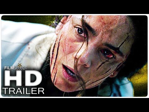 Dieta mediterranea trailer espanol