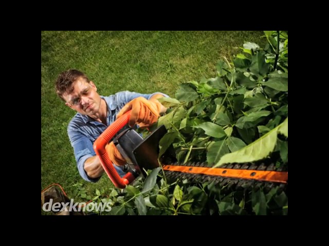 Izatt MJ Tree Service - Aberdeen, WA