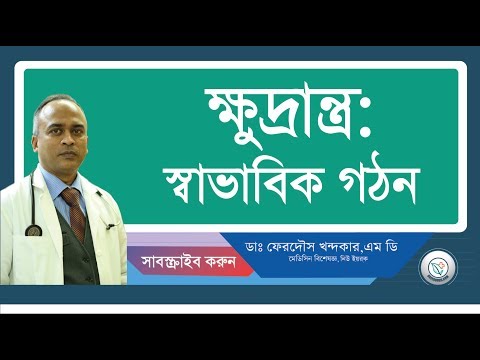 ক্ষুদ্রান্ত্র:: স্বাভাবিক গঠন।