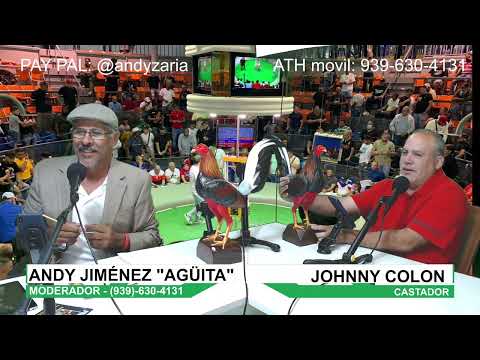 Hablando de Gallos - Programa #66