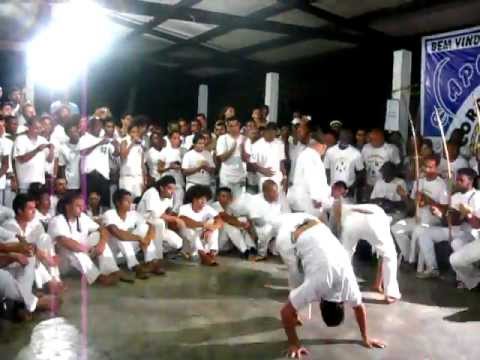 Capoerando 2012 Capoeira Cordao de Ouro