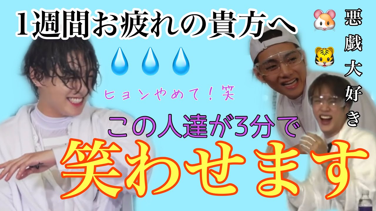 【BTS日本語字幕】BTSにはワンコが混ざっていたみたいです。