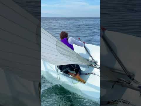 🏁Nice and Easy Wins the Race!