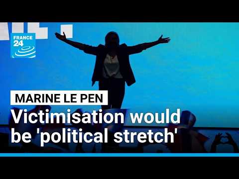 Marine Le Pen branding as 'victim of judicial harassment' would be 'political stretch'