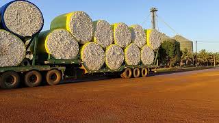 Algodão Colheita, transporte, benefício, classificação,e emblocamento