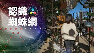 一節你必須要了解的達芬奇基礎課(七)—— 色彩扭曲器(蜘蛛網)