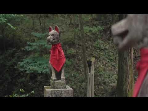 DENIO & FLEXX - Vermächtnis (prod. by EMDE51 x Kermit Beatz)