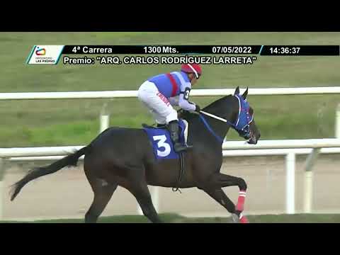 220507 c04 -  ANDADOR - HIPODROMO LAS PIEDRAS