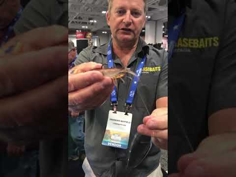 How to use CHASEBAITS Flick Prawn shrimp lure