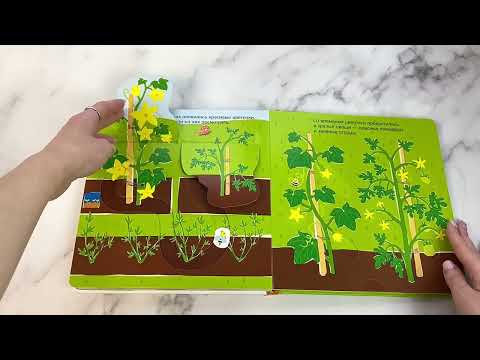 Миниатюра изображения товара Книжка-панорамка Эксмо Собираем урожай 3D / 9785041896133