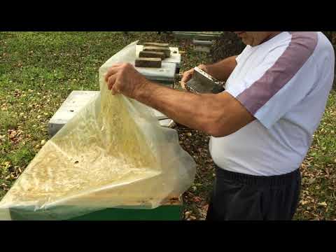 PROMAJU. IZMISLIJO NEPRIJATELJ  PČELA 22.09.2019.