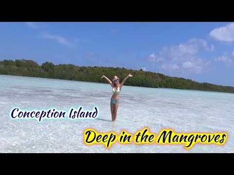 SDA98 Conception Island, Deep in the Mangroves