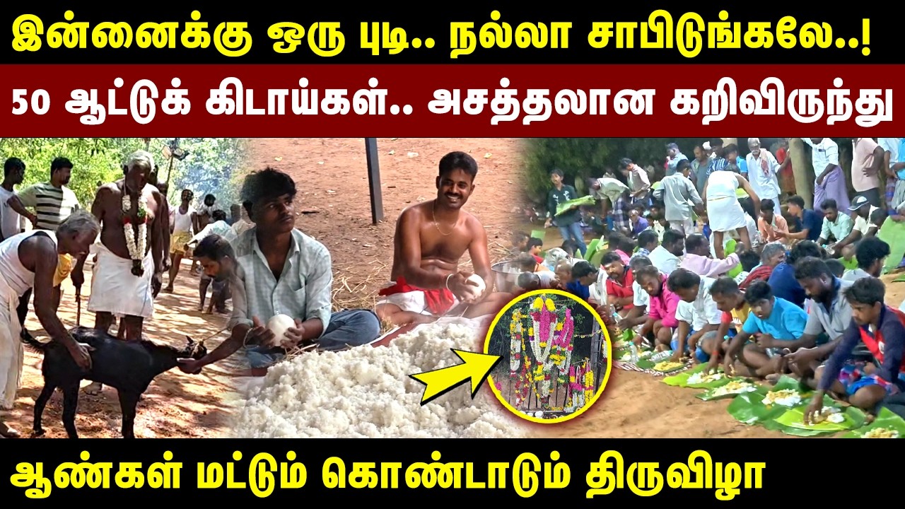 50 ஆட்டுக் கிடாய்கள்.. அசத்தலான கறிவிருந்து | Dindigul | Natham | Traditional Festival | Mutton