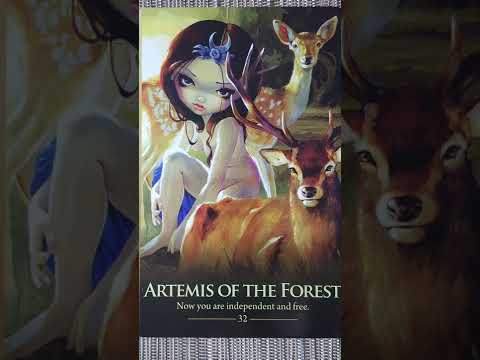 Artemis of the Forest 🌙 Oracle of the Shapeshifters card meaning