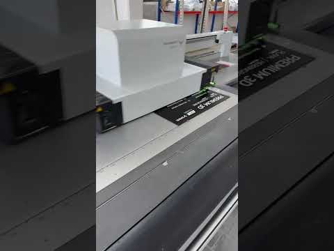 SwissQPrint Nyala 2i P250726038