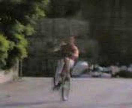 CANCELLO ED ARNONE TOTORE