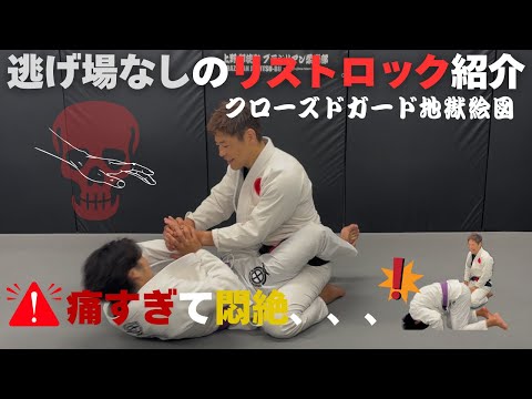 【BJJ/柔術】逃げ場なしのリストロック！クローズドガード地獄絵図【上野御徒町ブラジリアン柔術部】