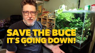20 Down! Save The Buce! Fluval CO2 Update!