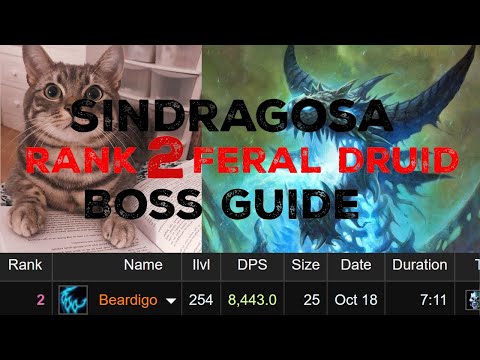 Sindragosa ICC Boss Feral DPS Guide