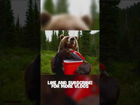 GrizzVLOGS Steals a Cooler Full of Goodies!